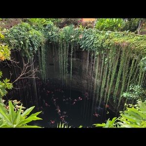 Meet your Posher, Janet